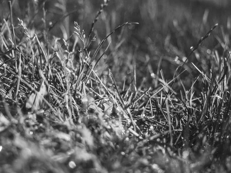 InsightFlow Analytics screenshot 2