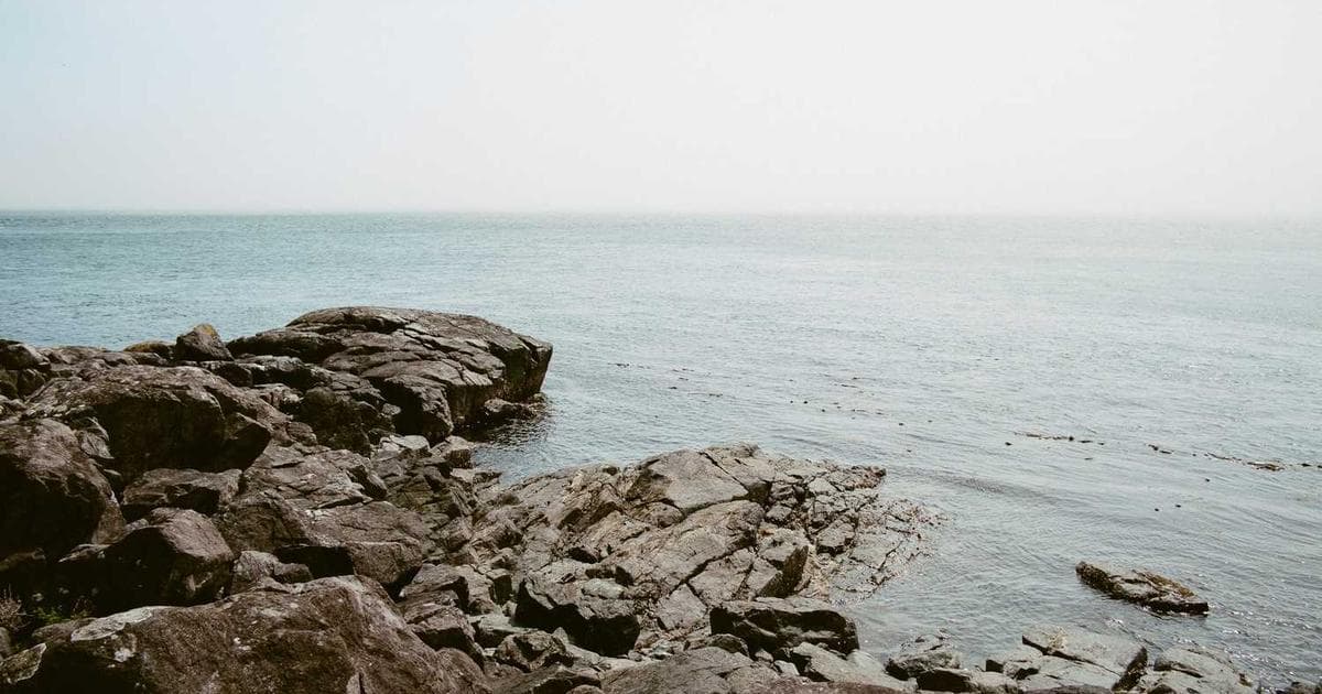 Web development best practices